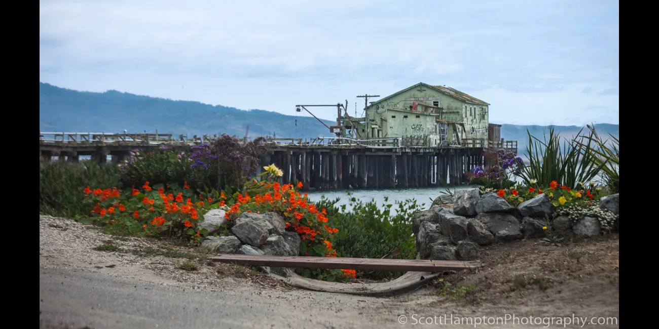Princeton by the Sea Pier