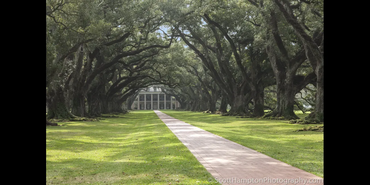 Oak Alley II